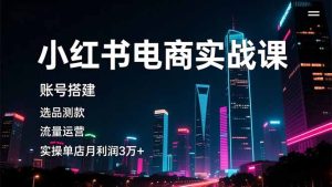 小红书电商实战课,账号搭建,选品测款,流量运营,实操月利润3万+-KJ分享