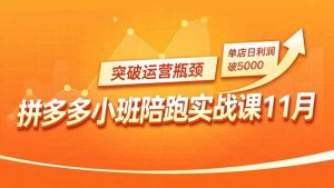 拼多多小班陪跑实战课11月，强付费矩阵、原价活动、暗券引流，突破运营瓶颈，单店日利润破5000-KJ分享
