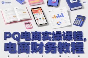 PQ电商实操课程，电商财务教程-KJ分享