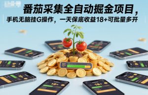 番茄采集全自动掘金项目,手机无脑挂G操作,一天保底收益18+可批量多开-KJ分享