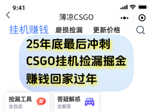 12月年底抓紧最后一个月,用CSGO游戏挂机捡漏掘金赚钱掘金,一部手机轻松日入500+-KJ分享