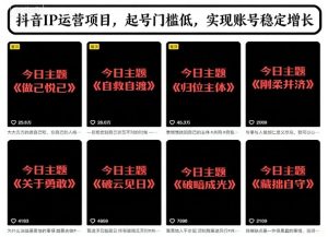 抖音IP运营项目,抖音今日主题玩法,起号门槛低,实现账号稳定增长-KJ分享
