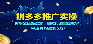 拼多多推广实操，拆解全链路运营，爆款打造实操教学，单店月均盈利5万+-KJ分享