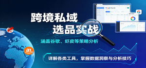 跨境私域选品实战:涵盖谷歌、虾皮等策略分析,详解各类工具,掌握数据洞察与分析技巧-KJ分享
