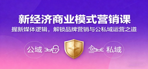 新经济商业模式营销课,握新媒体逻辑,解锁品牌营销与公私域运营之道-KJ分享