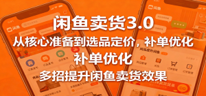闲鱼卖货3.0，从核心准备到选品定价，补单优化，多招提升闲鱼卖货效果-KJ分享