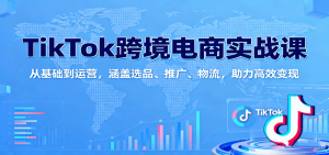 TikTok跨境电商实战课:从基础到运营,涵盖选品、推广、物流,助力高效变现-KJ分享