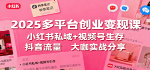 2025多平台创业变现课：小红书私域+视频号生存+抖音流量，大咖实战分享-KJ分享