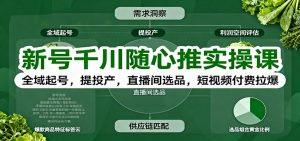 新号千川随心推实操课：全域起号，提投产，直播间选品，短视频付费拉爆-KJ分享