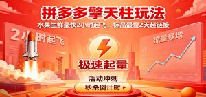 拼多多擎天柱玩法,水果生鲜最快2小时起飞,标品最慢2天起链接-KJ分享