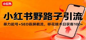 小红书野路子引流,暴力起号+SEO霸屏截流,移花接木日获客100+-KJ分享