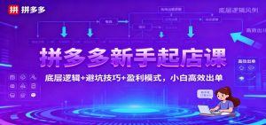 拼多多新手起店课:底层逻辑+避坑技巧+盈利模式,小白高效出单-KJ分享