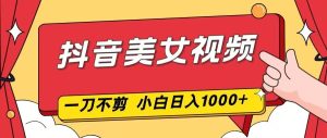 抖音美女视频，一刀不剪，两分钟一条视频，小白轻松上手，日入1000-KJ分享