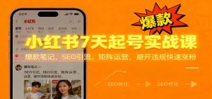 小红书7天起号实战课:爆款笔记,SEO引流,矩阵运营,避开违规快速涨粉-KJ分享