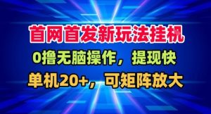 全网首发挂G，盒子自动賺米，单机20+，可矩阵放大，长期稳定运营-KJ分享