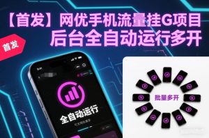 【首发】网优手机流量挂G项目，后台全自动运行，可无限批量多开-KJ分享