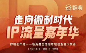2025ip嘉年华万人12月14深圳线下课，走向微利时代，IP流量嘉年华，实操性极强的商业干货课-KJ分享