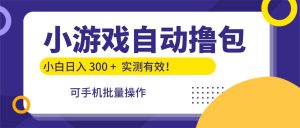 小游戏自动撸包,手机批量操作,小白日入300 +-KJ分享