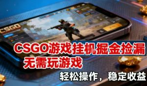 CSGO游戏挂G掘金捡漏,不需要玩游戏,操作简单,收益稳定-KJ分享