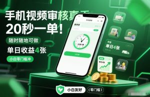 手机视频审核真香！20秒一单，随时随地可做，单日收益4张，小白零门槛冲-KJ分享