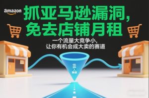 抓亚马逊漏洞，免去店铺月租，一个流量大竞争小，让你有机会成大卖的赛道-KJ分享