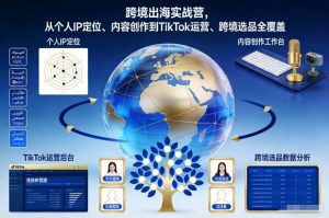跨境出海实战营，从个人IP定位、内容创作到TikTok运营、跨境选品全覆盖-KJ分享