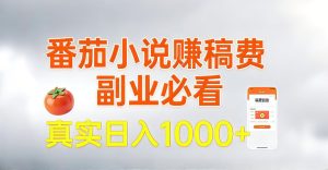 全网独家，番茄小说賺稿费邪修玩法，操作超级简单，单日收益1k+-KJ分享