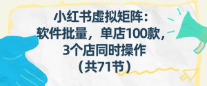 小红书虚拟矩阵:软件批量发笔记,单店100款,3个店同时操作(共71节)-KJ分享