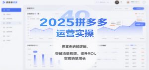 2025拼多多运营实操,用案例拆解逻辑,突破流量瓶颈、提升ROI,实现销量增长(更新)-KJ分享