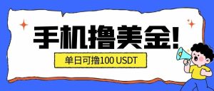 最新手机撸美金项目,单日产值100U+,2026年最新的风口项目-KJ分享