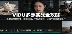 VIDU多参实战全攻略：海螺首尾帧制作，图生技法，小短片案例，轻松产出高质量短片-KJ分享