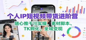 个人IP短视频带货进阶营:随心推千川实操、素材脚本、TK孵化,全域变现-KJ分享