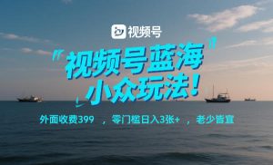 视频号蓝海小众玩法！外面收费399，零门槛日入3张+，老少皆宜-KJ分享