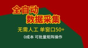 全自动数据采集项目,无需人工,单窗口可达50+收益,操作简单无难度,一个人也能轻松实现矩阵-KJ分享