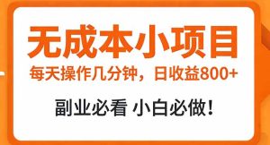 无成本小项目 每天操作几分钟,真实日收益800+ 副业必看 小白必做!-KJ分享