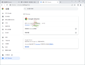 Google Chrome v145.0.7632.110绿色便携版-KJ分享