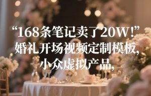 168条笔记卖了20W！婚礼开场视频定制模板，小众虚拟产品-KJ分享