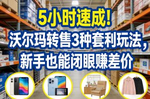 5小时速成！沃尔玛转售3种套利玩法，新手也能闭眼賺差价-KJ分享