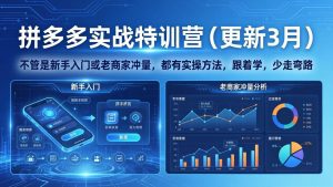 拼多多实战特训营(更新3月)：不管是新手入门或老商家冲量，都有实操方法，跟着学，少走弯路-KJ分享