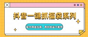 抖音一键抓福袋系列，配合网盘拉新，两份收益不能停-KJ分享