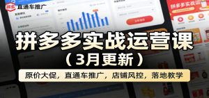 拼多多实战运营课（3月更新）：原价大促，直通车推广，店铺风控，落地教学-KJ分享