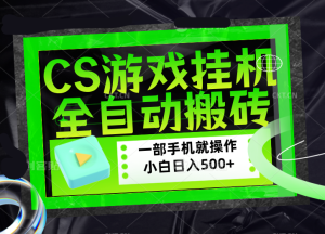 CSGO游戏挂机捡漏搬砖,超稳定的项目,带领1000+小白实现日入500+,数据可视频验证-KJ分享