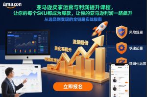 亚马逊卖家运营与利润提升课程，让你的每个SKU都成为爆款，让你的亚马逊利润一路飙升(更新26年3月)-KJ分享