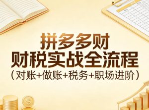 拼多多财税实战全流程(对账+做账+税务+职场进阶)-KJ分享