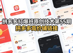 拼多多打爆班原创技术第55期，拼多多高价铺链接-KJ分享