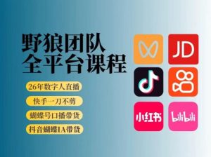 野狼团队2026新版全平台短视频带货教学，打开流量突破口，开始Ai带货(更新26年3月)-KJ分享