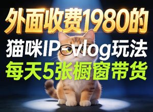 宠物赛道猫咪IP-vlog玩法，26条视频涨粉29W，每天5张橱窗带货拆解-KJ分享
