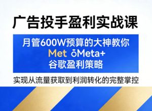 广告投手盈利实战课,月管600W预算的大神教你Meta+谷歌盈利策略,实现从流量获取到利润转化的完整掌控-KJ分享