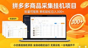 拼多多商品信息全自动采集项目，批量可矩阵，单机轻松日入300+，无需云机一台电脑开干【揭秘】-KJ分享