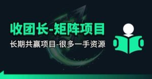 【团长合作】视频矩阵项目_招发手矩阵+剪辑师，共赢项目【揭秘】-KJ分享